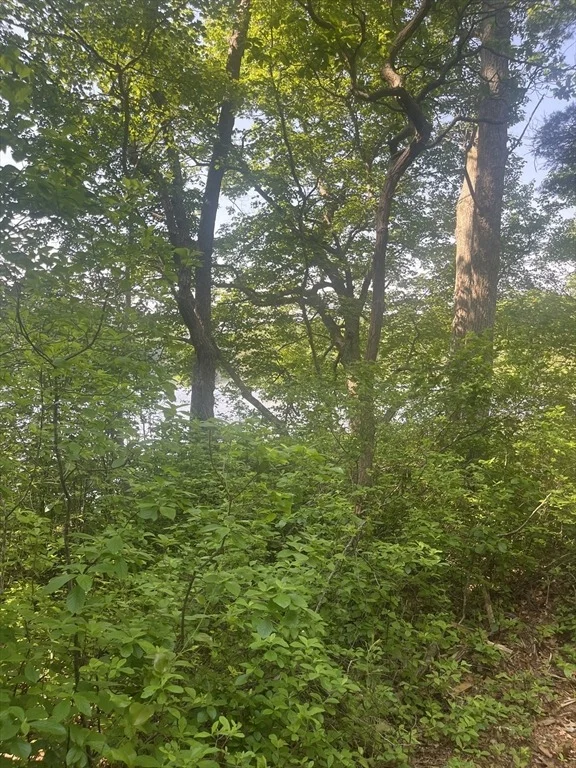 Photo of 0 Morse St