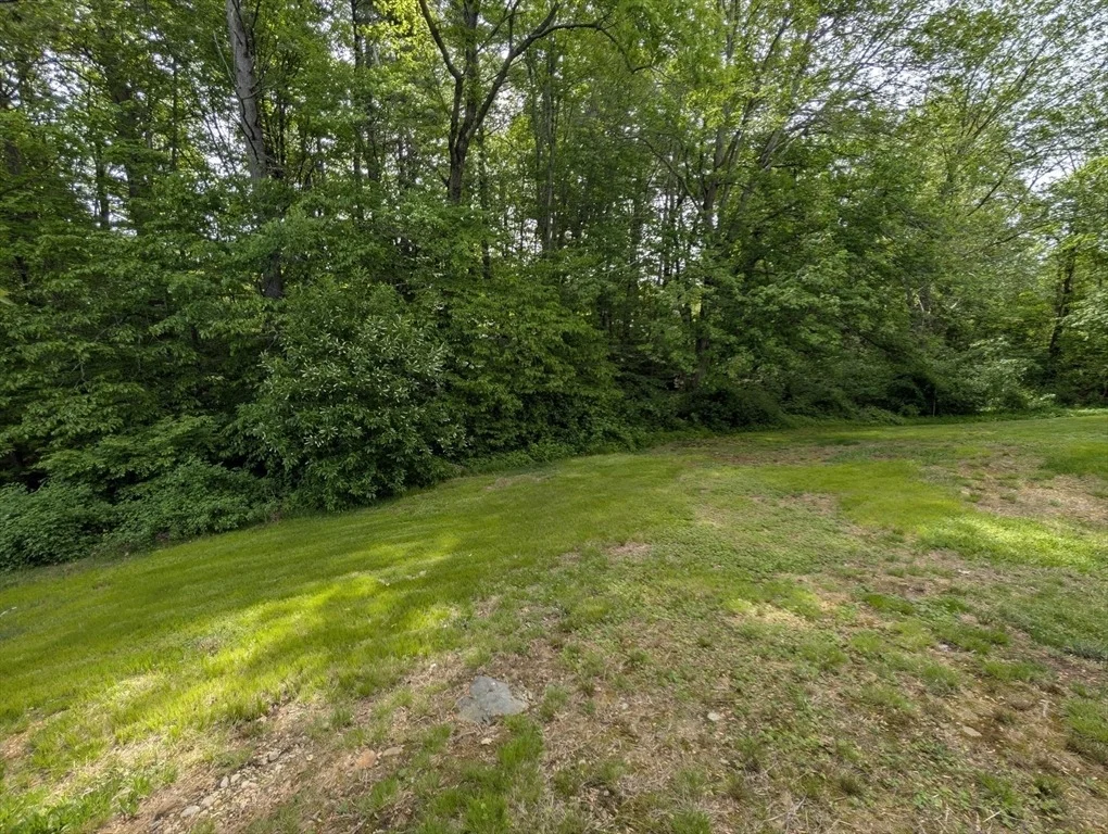 Photo of 7 Birchwood Dr
