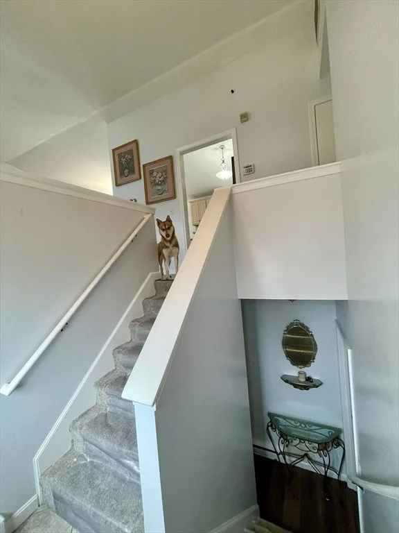 Photo of 132 Ondrick Dr