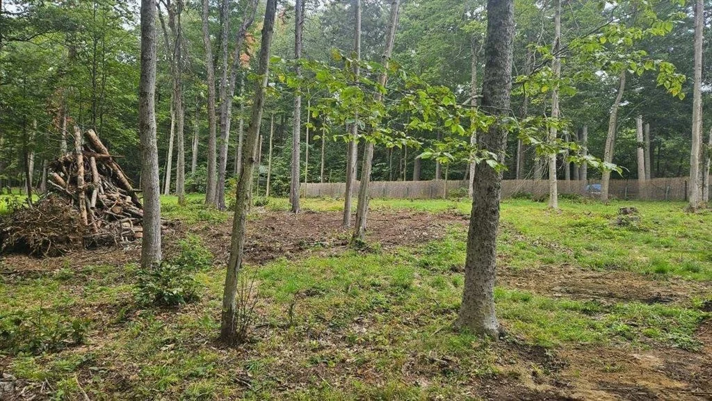 Photo of 8 Deer Run Path