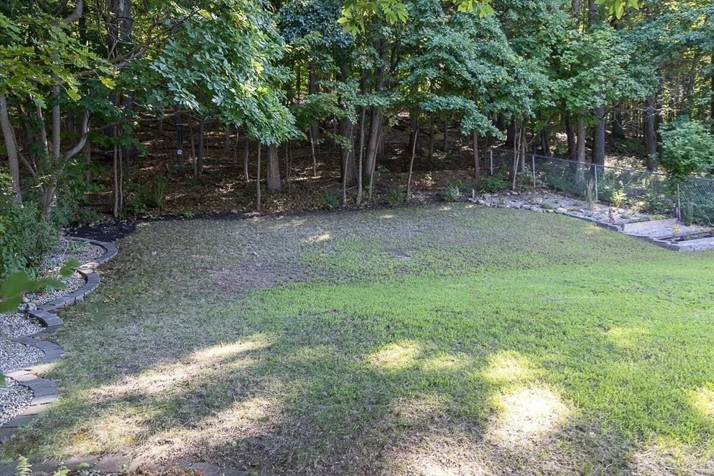 Photo of 24 Belvidere Rd