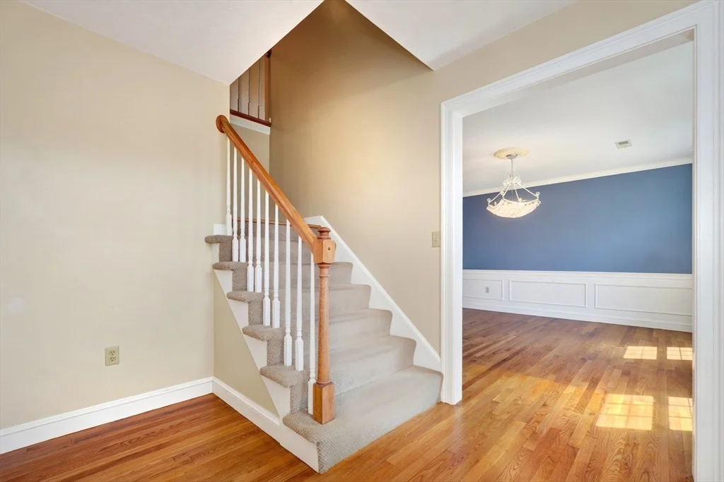 Photo of 8 Saddle Way