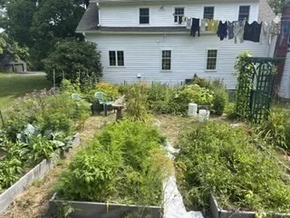 Photo of 173 Athol Road
