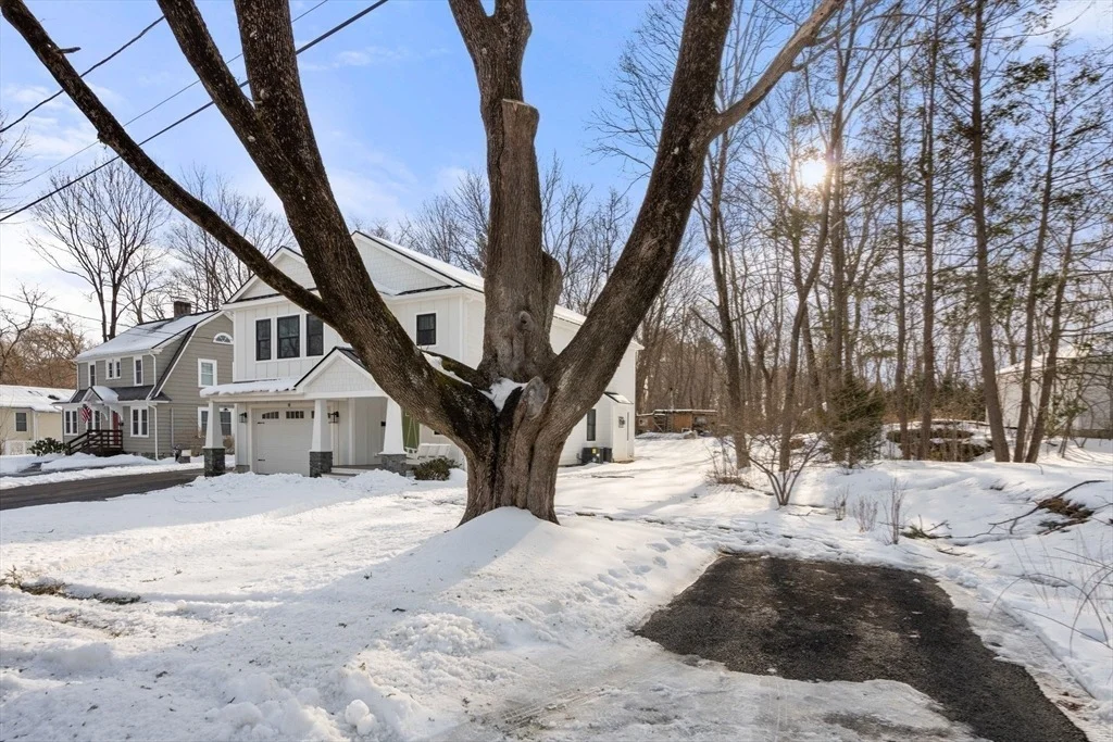 Photo of 12 Winter Street