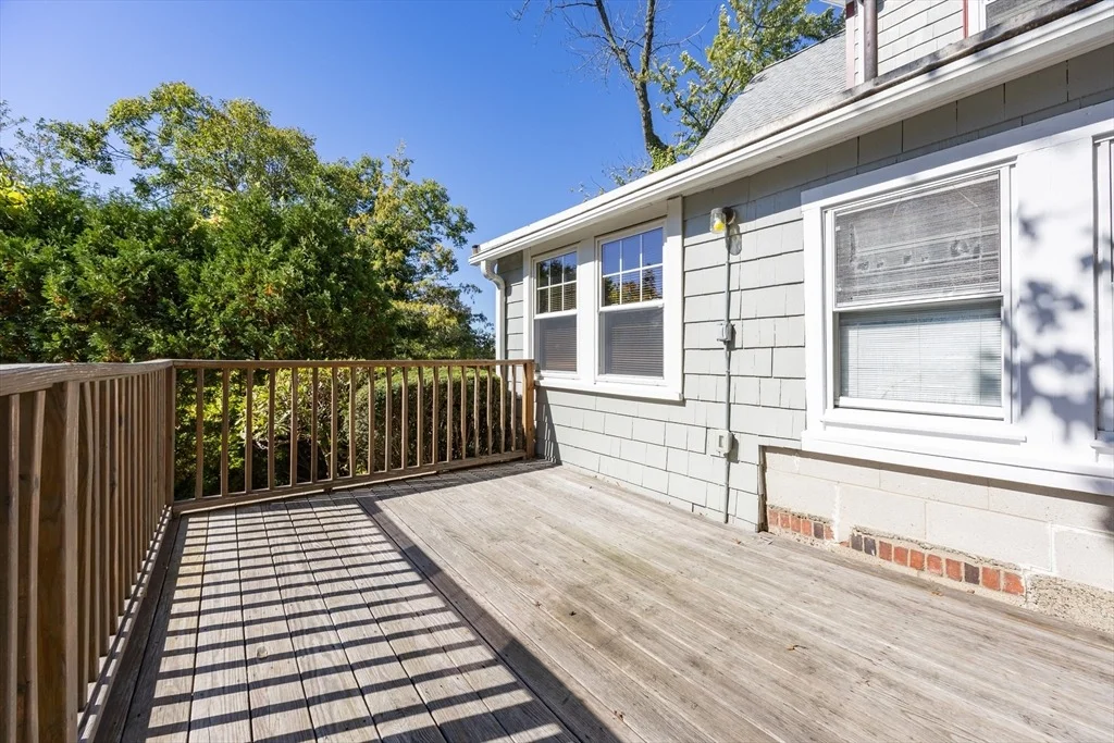 Photo of 41 Roy St