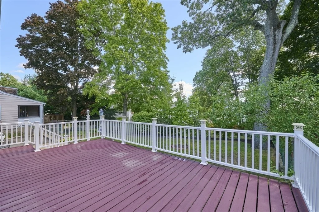 Photo of 77 Prentice Street