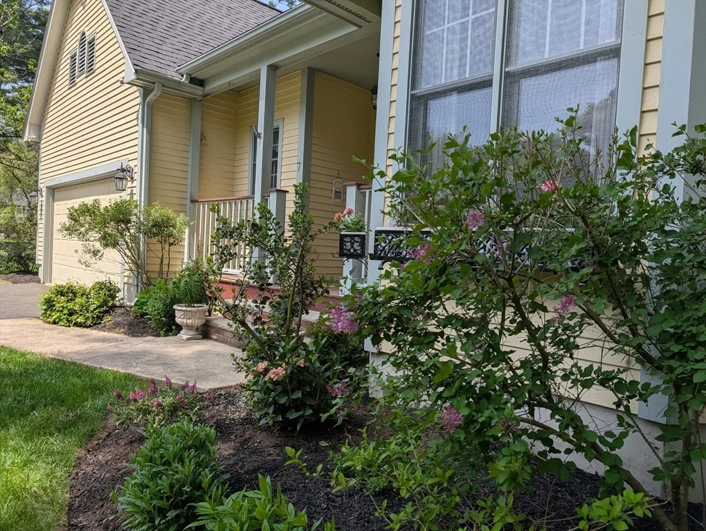 Photo of 7 Shannon Lane