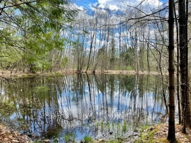Photo of 7-L New Athol Rd