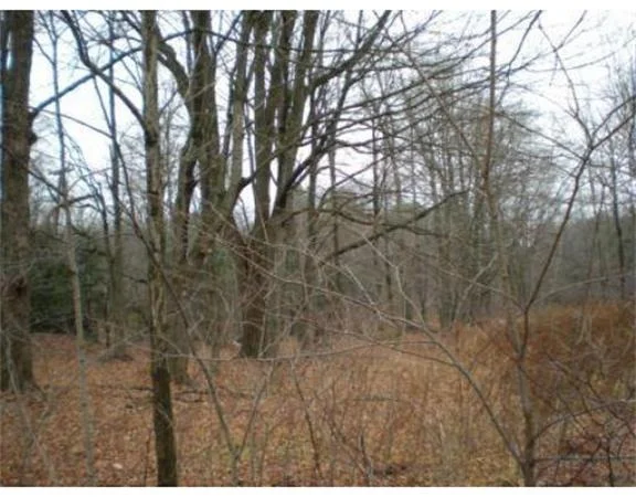 Photo of 3.01 Old Bay Rd