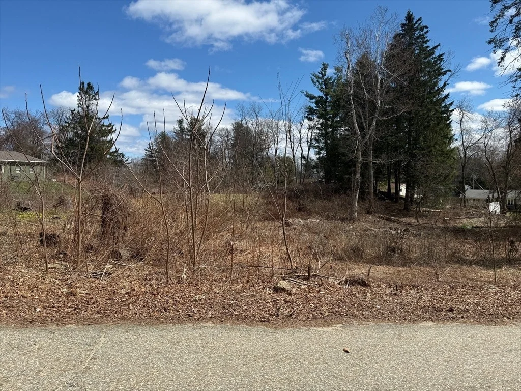 Photo of 11 Walbridge Road