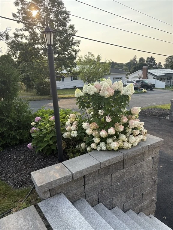 Photo of 23 Mary Ann Dr