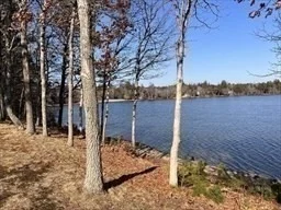 Photo of 5 Huckleberry Ln