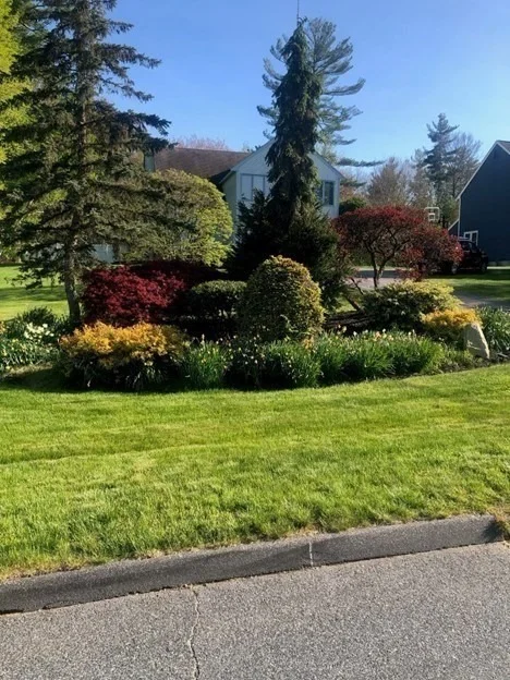Photo of 244 Rolling Meadow Drive