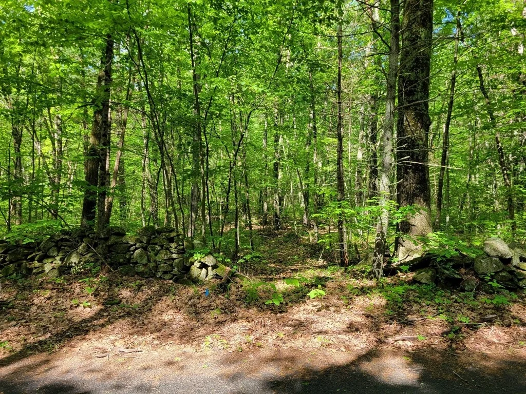 Photo of Lot 8 Daniels Rd