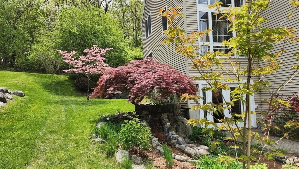 Photo of 7 Tree Top Way