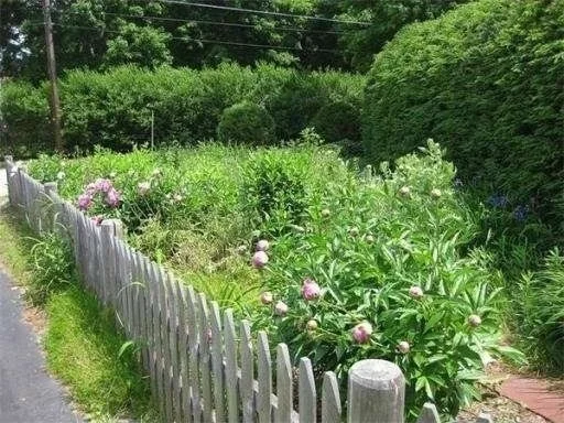 Photo of 4 Meadow Ln