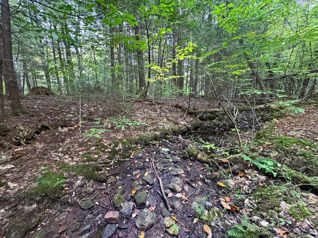 Photo of 60 Stone Hill Road