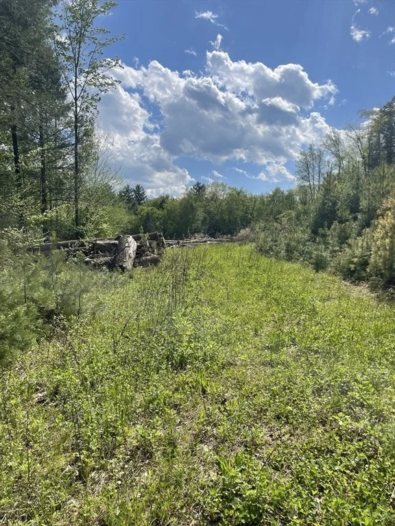 Photo of 1282 Burt Hill Rd