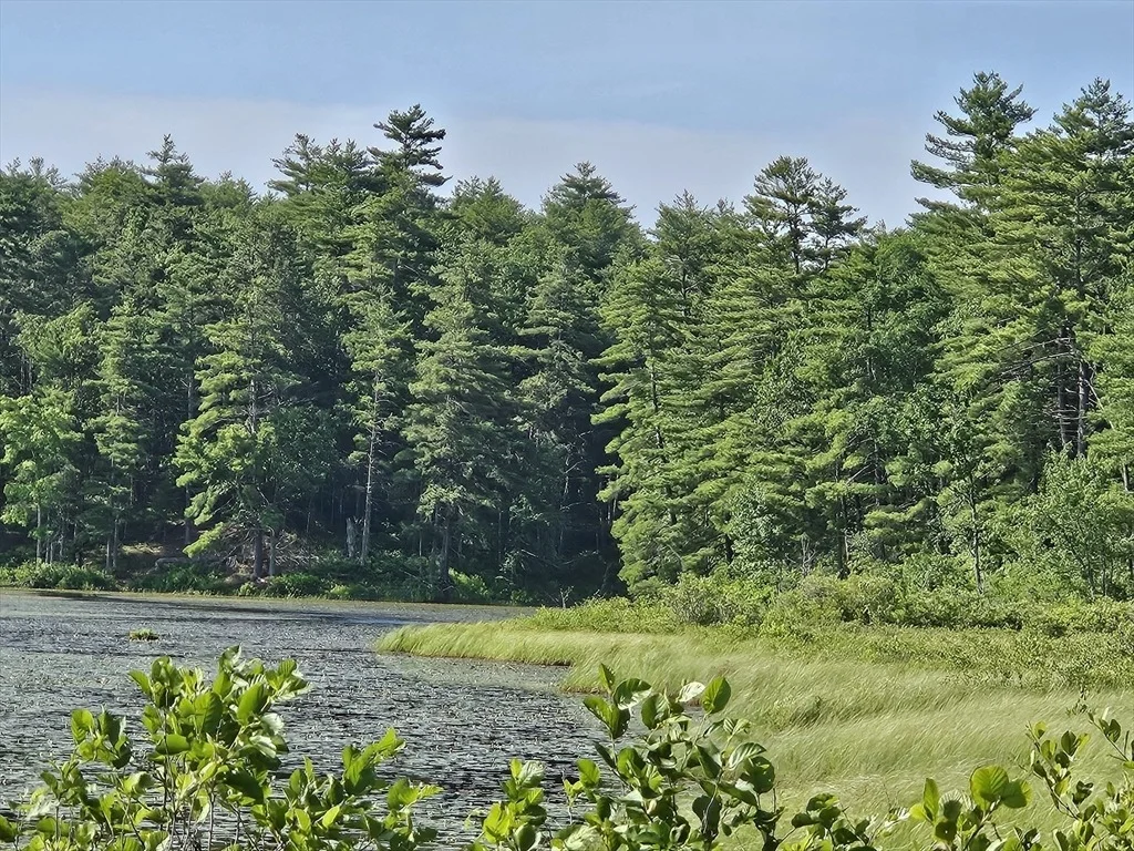 Photo of 0 Branch Bridge Rd