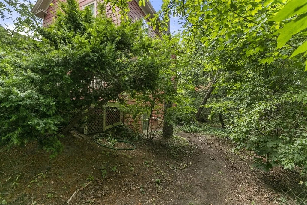 Photo of 31 Walnut Street