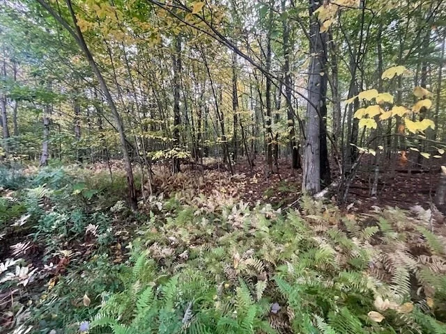 Photo of 0 Stryker Road