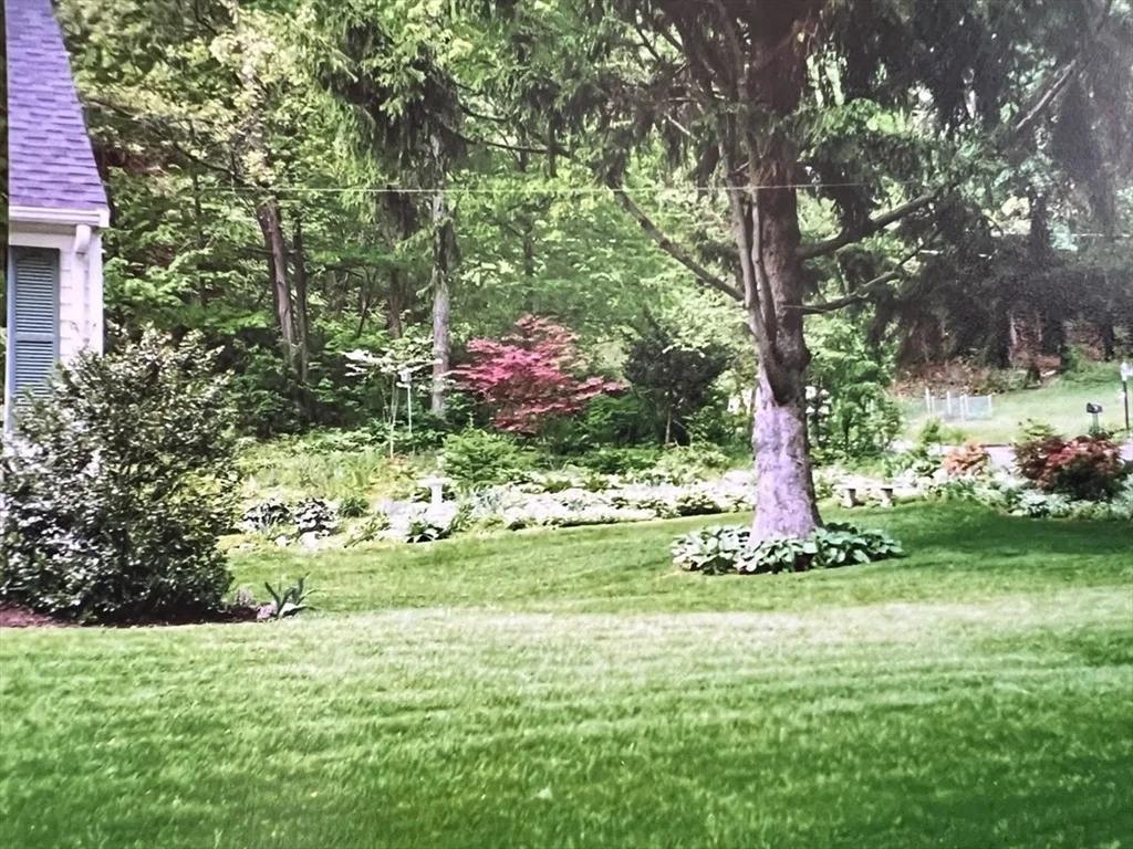 Photo of 21 Lovers Ln