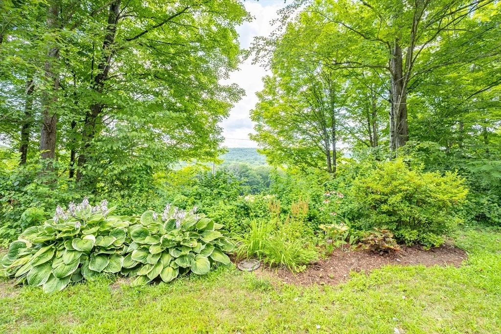 Photo of 40 Town Farm Road