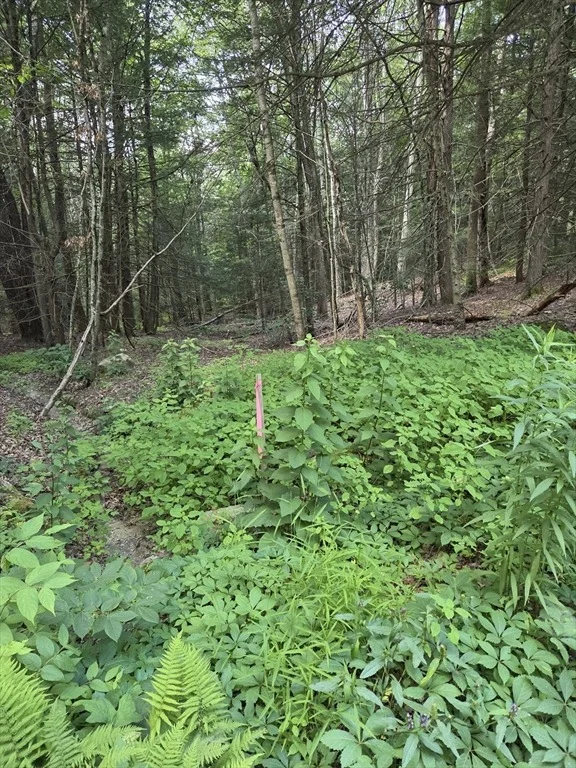 Photo of Lot 2 Sampson Road