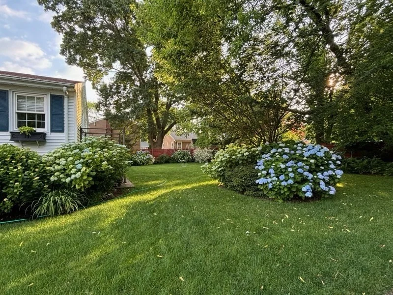Photo of 706 Lawton St