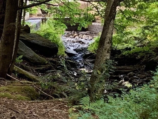 Photo of 27 & 29 Cascade Dr