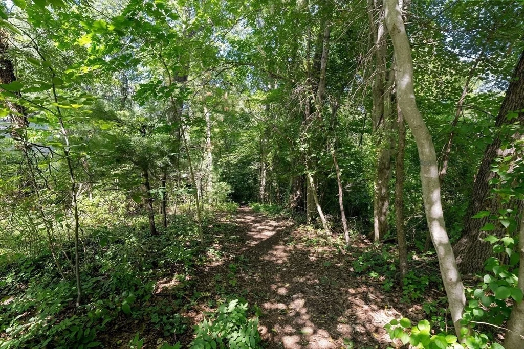 Photo of 8 Dana Rd