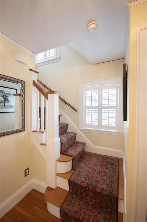 Photo of 403 Common St.