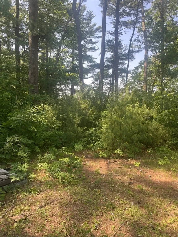 Photo of 0 Morse St