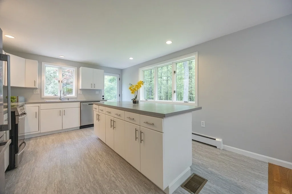 Photo of 56 Burt St