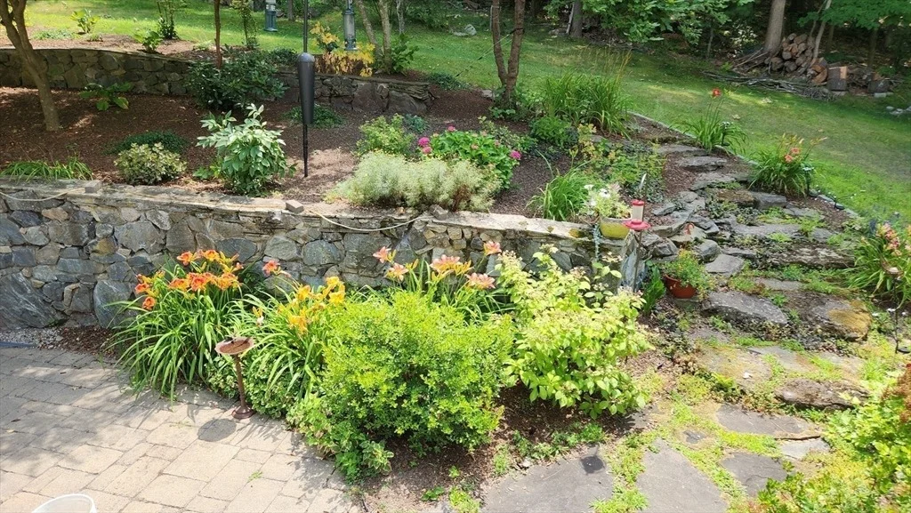 Photo of 7 Tree Top Way