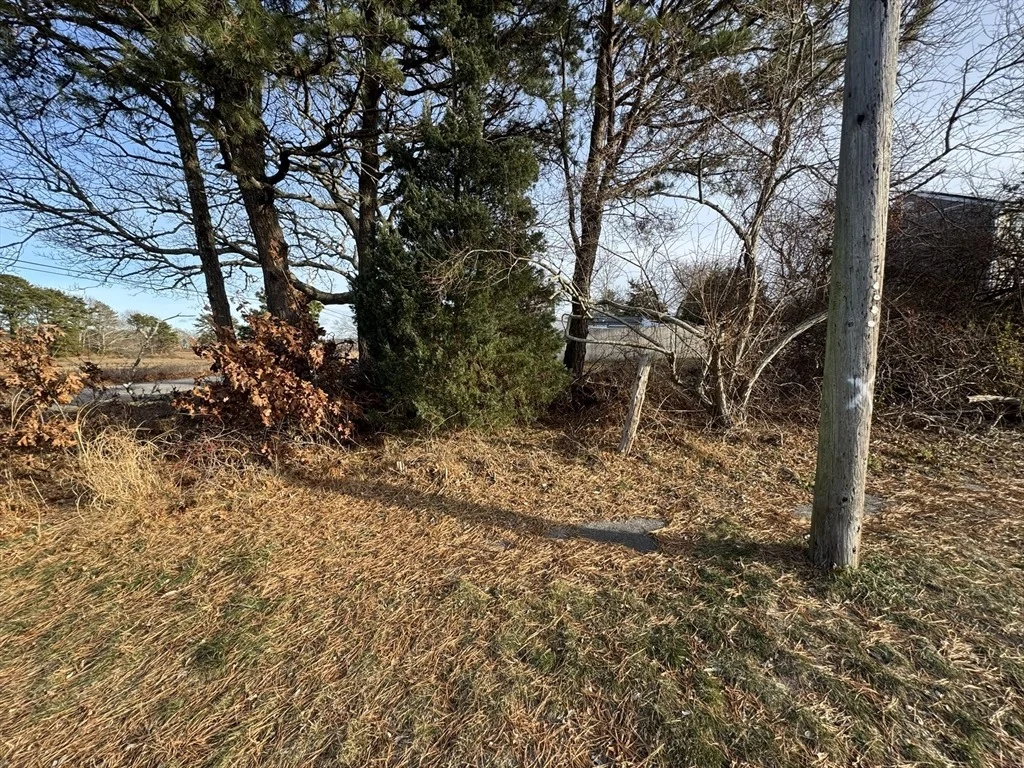 Photo of 29 Camp St