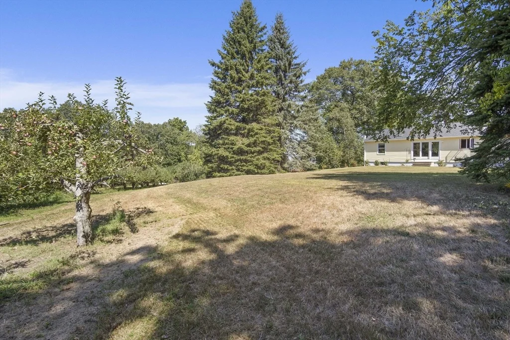 Photo of 37 Chamberlain Rd