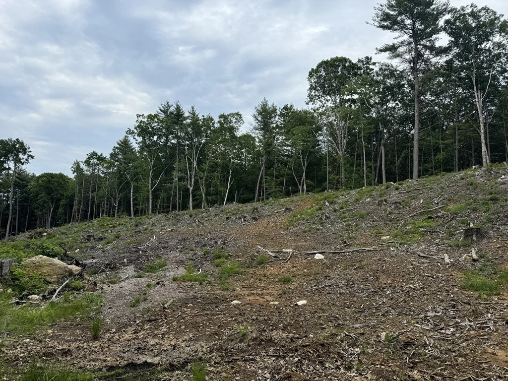 Photo of 0 Alpine
