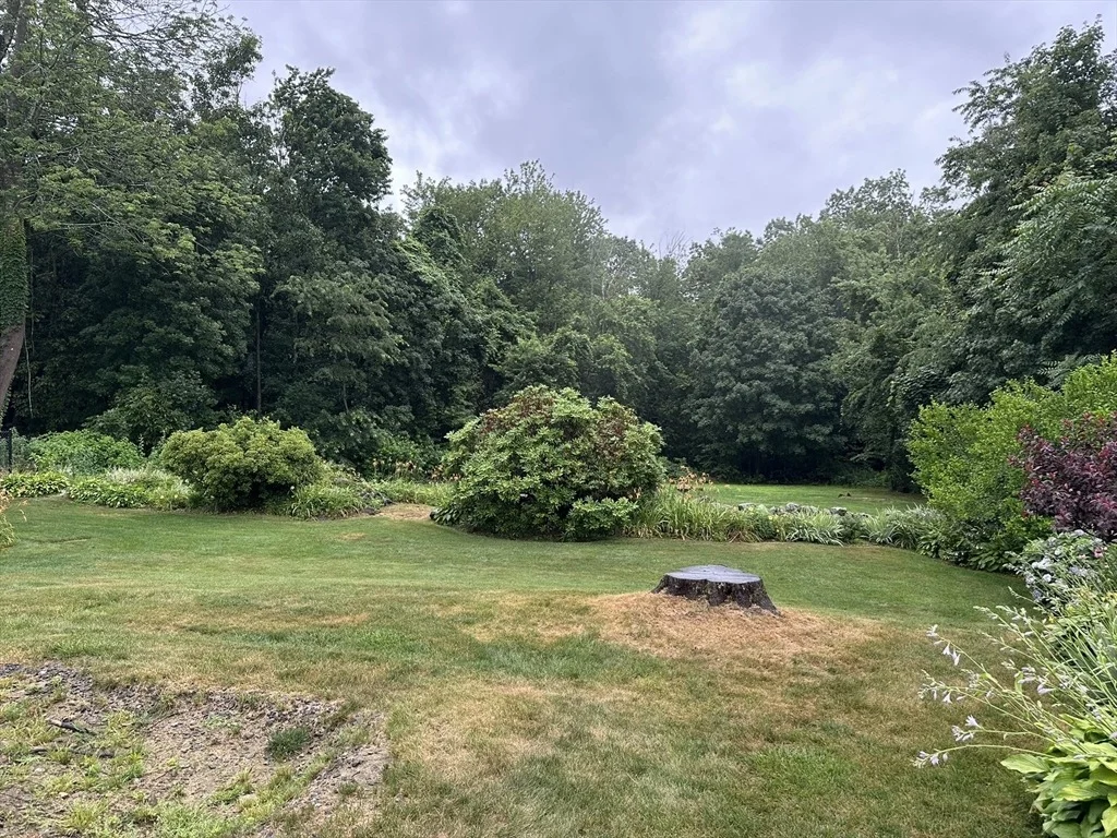 Photo of 20 Wedgewood Rd