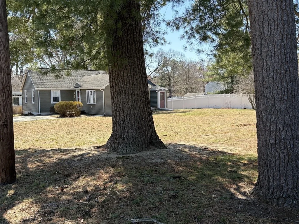 Photo of 54 Walnut Road