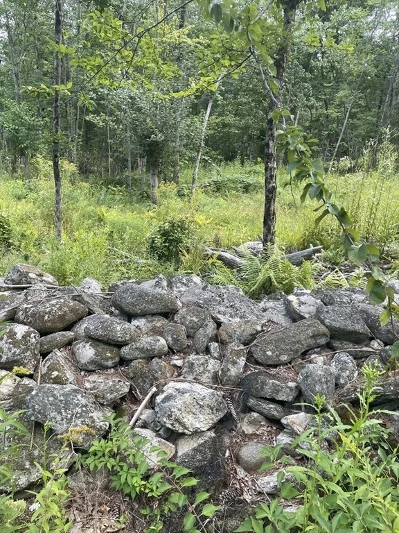 Photo of 208 Erickson Rd