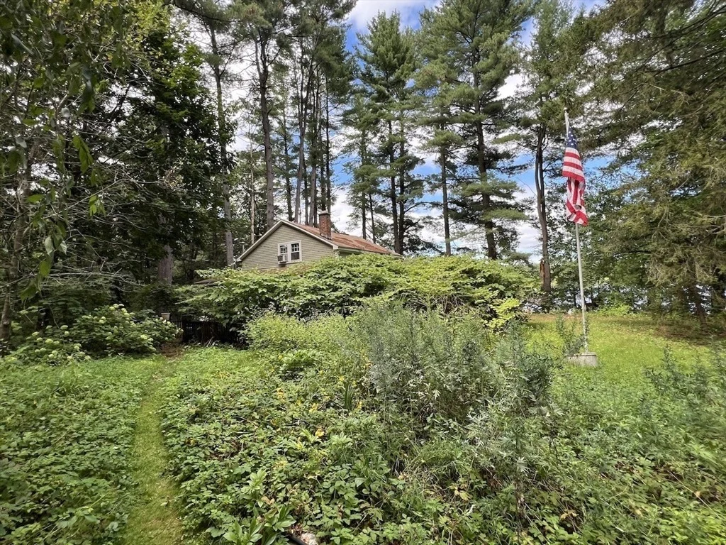 Photo of 16 Davis Street