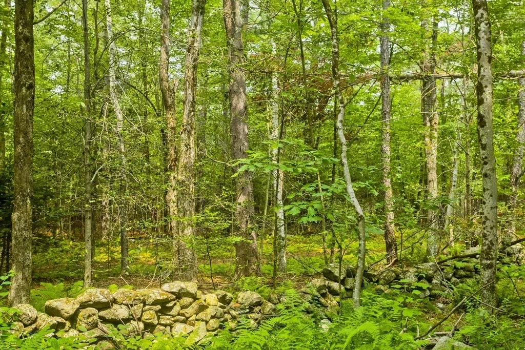 Photo of 95 W Hill Rd