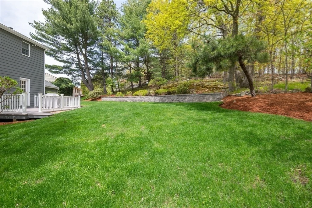 Photo of 25 Ellen Road