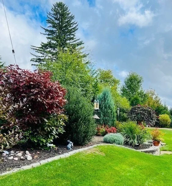Photo of 79 Empire Drive
