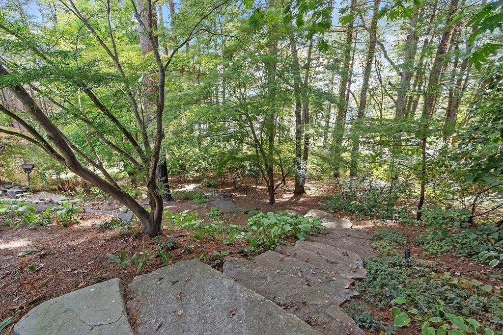 Photo of 132 Williams Road
