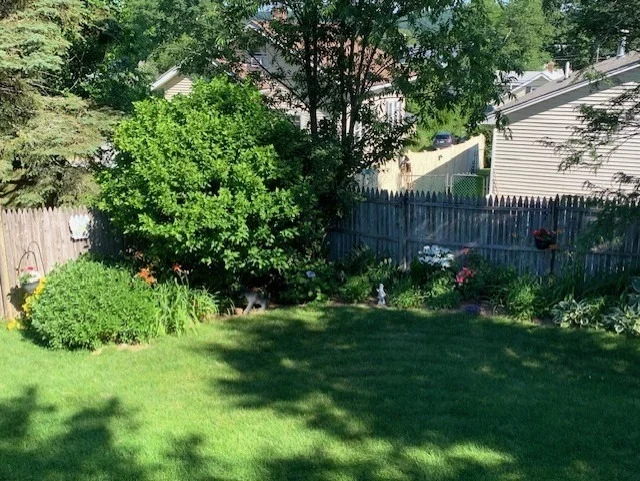 Photo of 87 Wilkinson St
