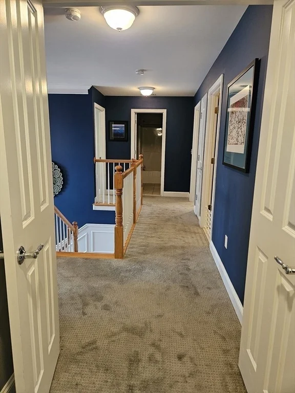 Photo of 11 Bunting Way