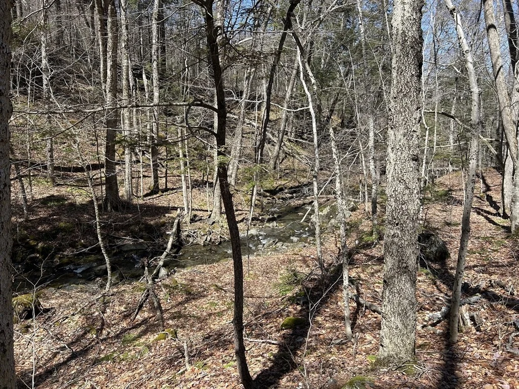 Photo of 71 Dodge Rd