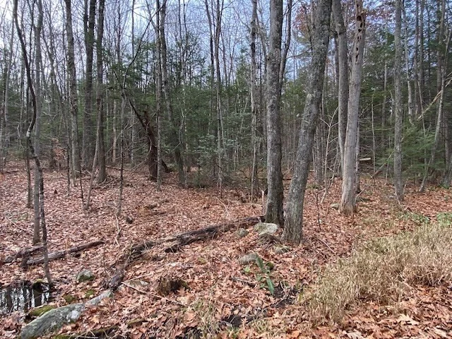 Photo of Lt 55 Wendell Rd